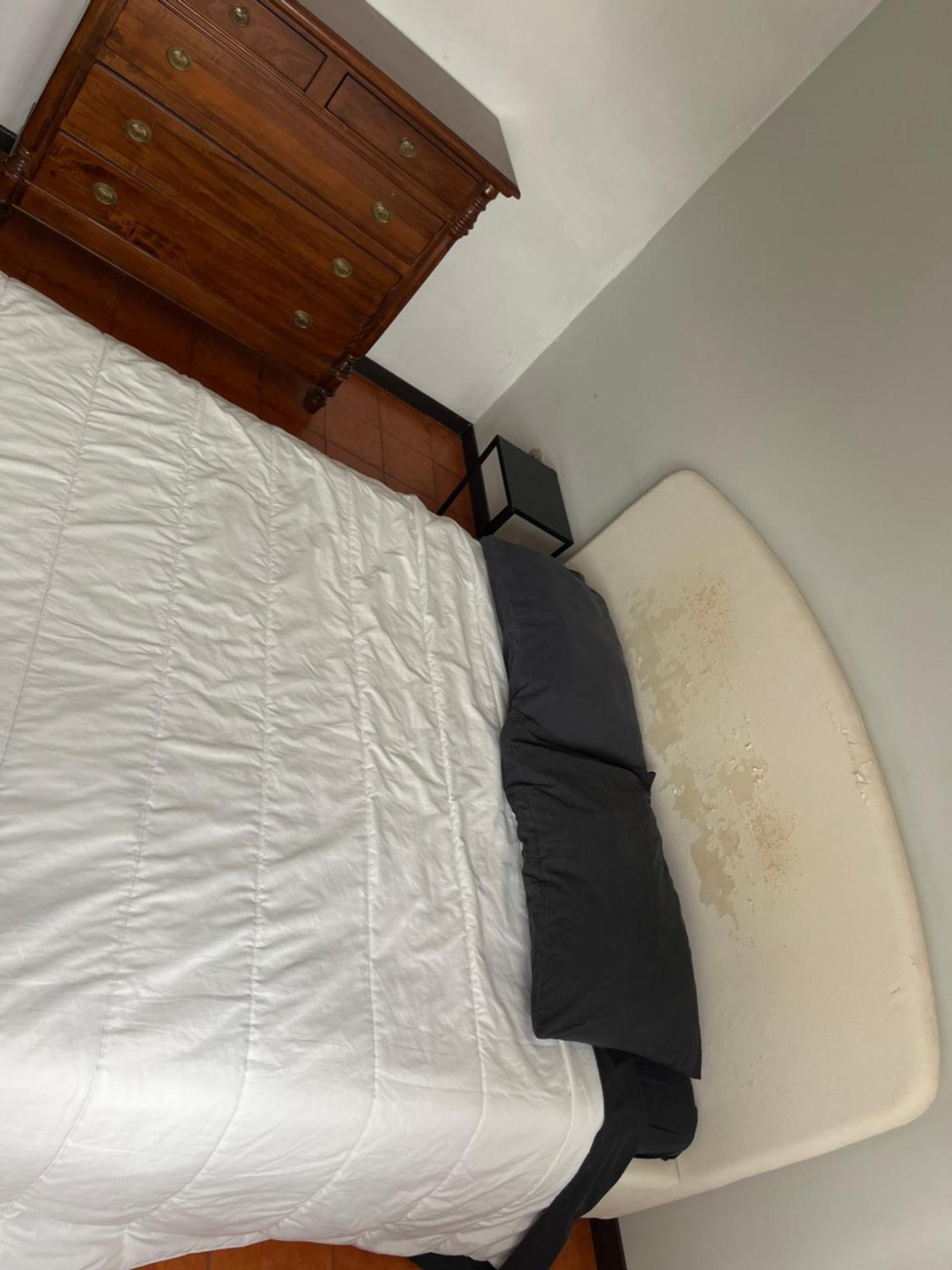 Ciamarra Rooms 罗马 外观 照片